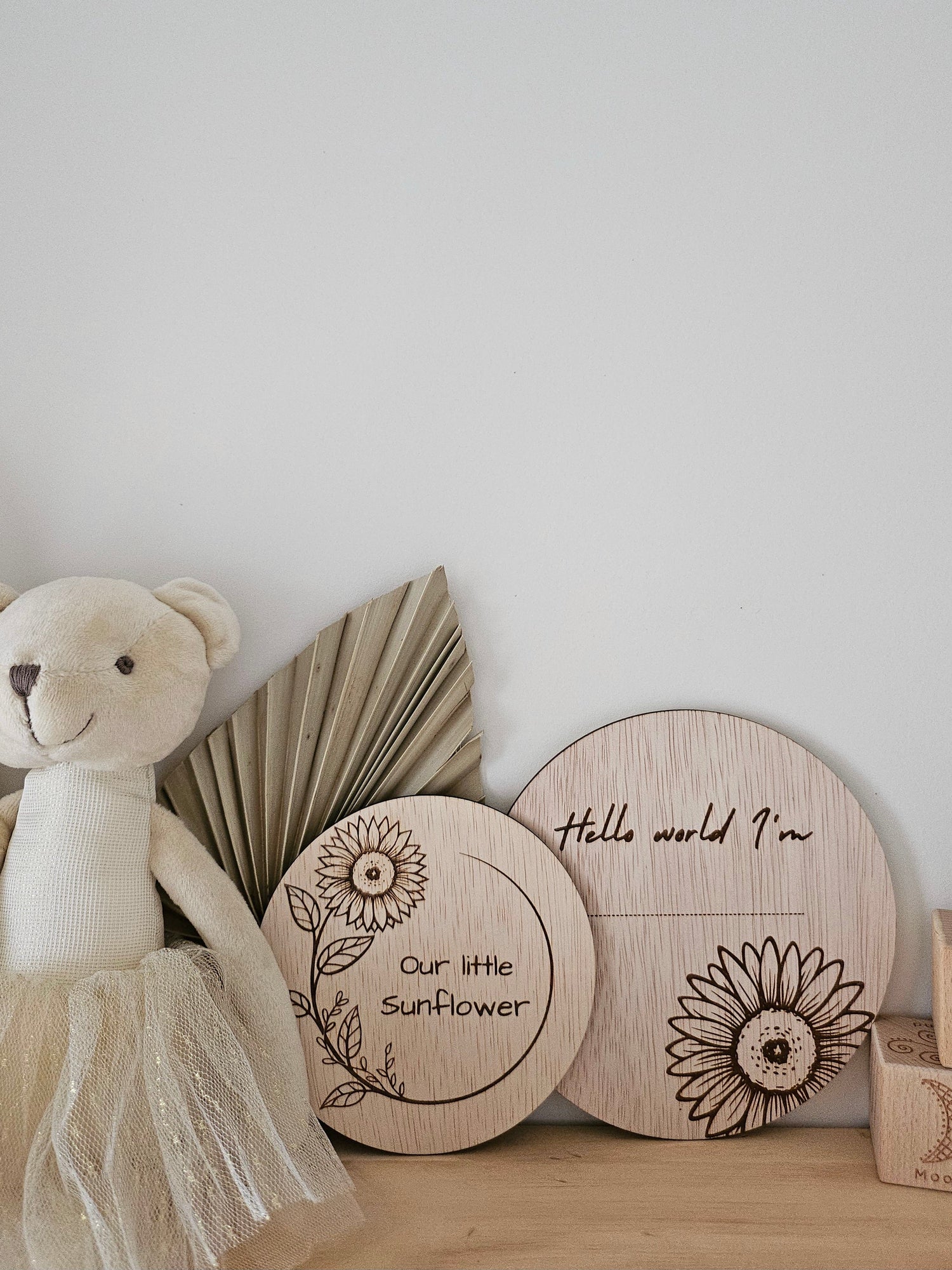 BABY ANNOUNCMENTS AND MILESTONE PLAQUES