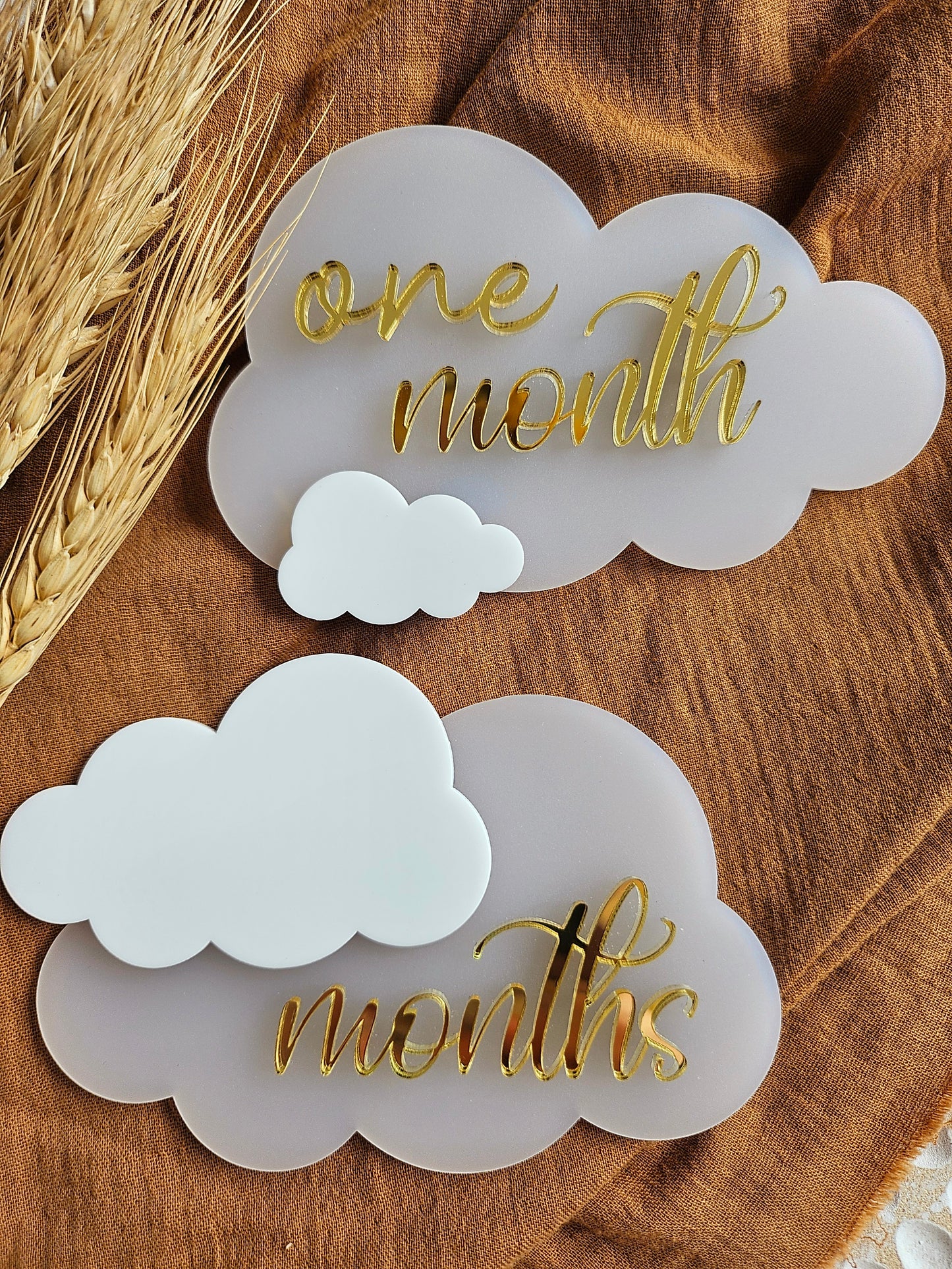 REUSABLE MONTHLY MILESTONE PLAQUE SET- CLOUD