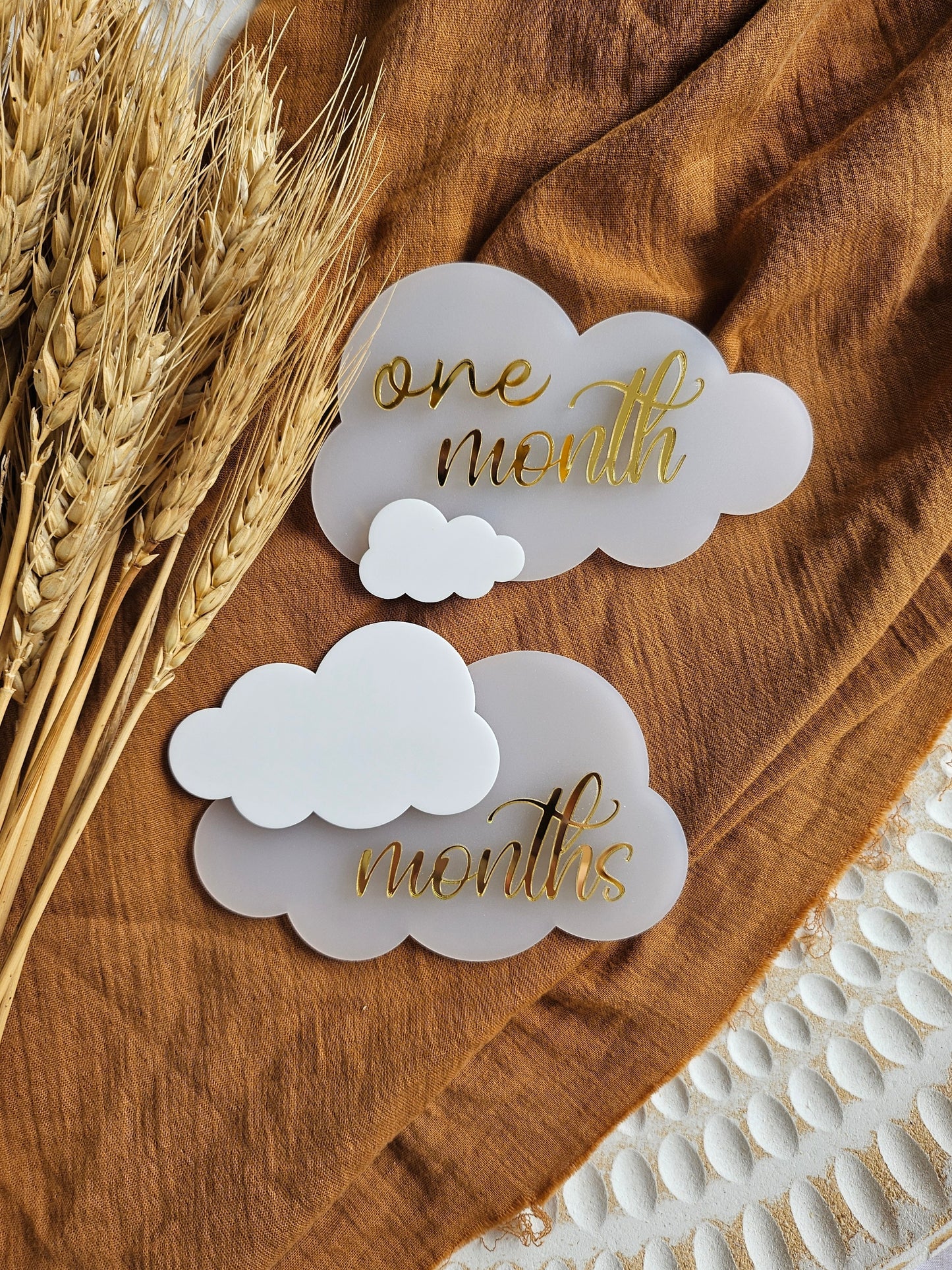 REUSABLE MONTHLY MILESTONE PLAQUE SET- CLOUD