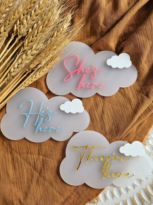 SHE'S, HE'S AND THEIR HERE- CLOUD ANNOUNCMENT PLAQUE