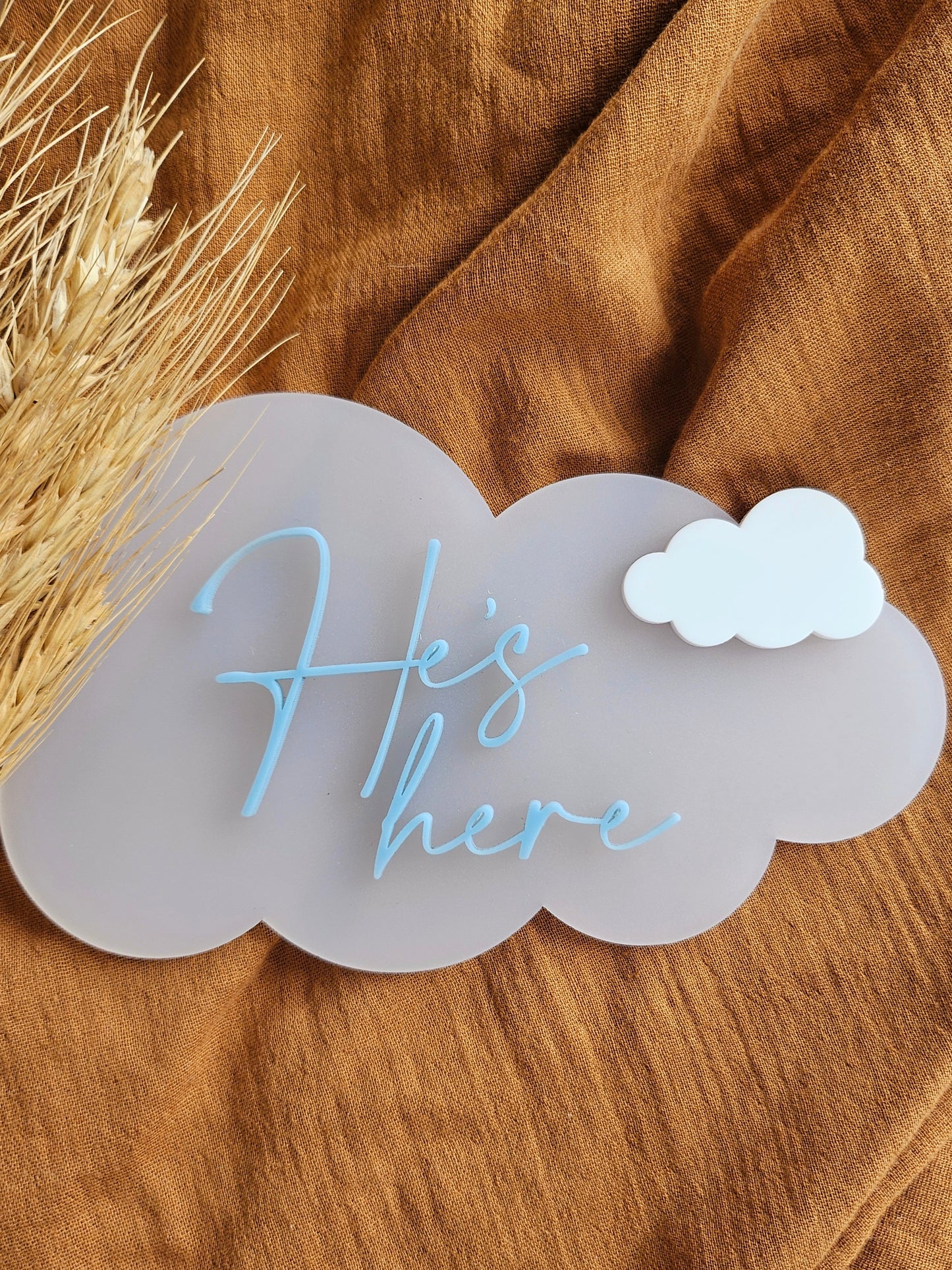 SHE'S, HE'S AND THEIR HERE- CLOUD ANNOUNCMENT PLAQUE