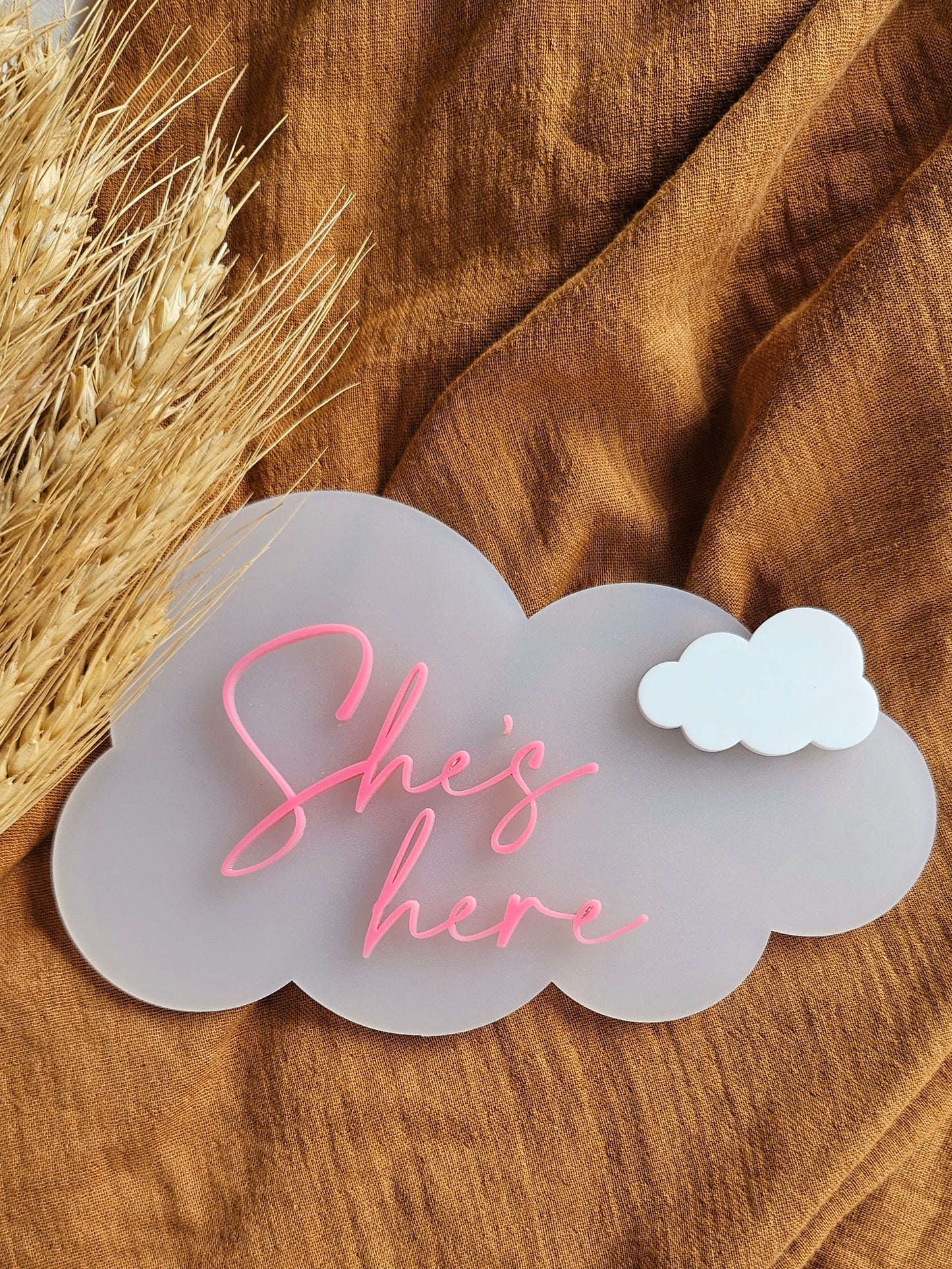 SHE'S, HE'S AND THEIR HERE- CLOUD ANNOUNCMENT PLAQUE