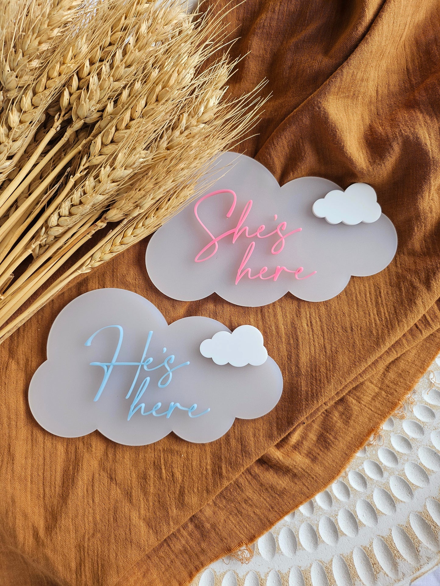 SHE'S, HE'S AND THEIR HERE- CLOUD ANNOUNCMENT PLAQUE